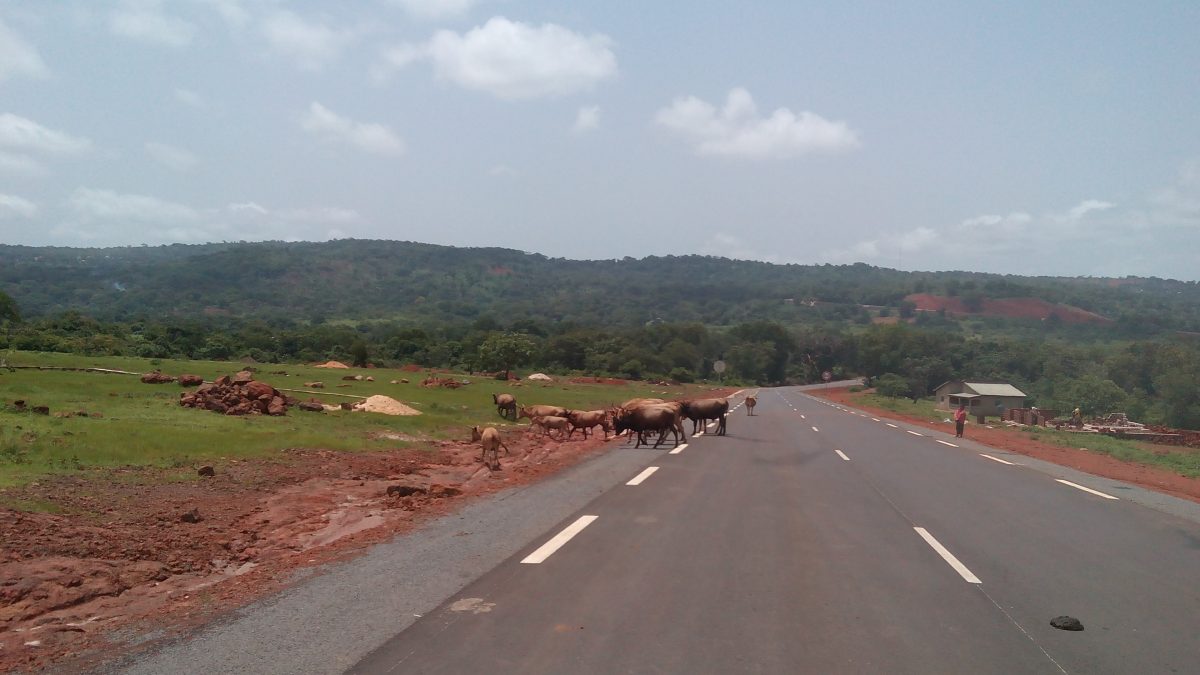 Article : Quand voyager devient une &eacute;preuve am&egrave;re