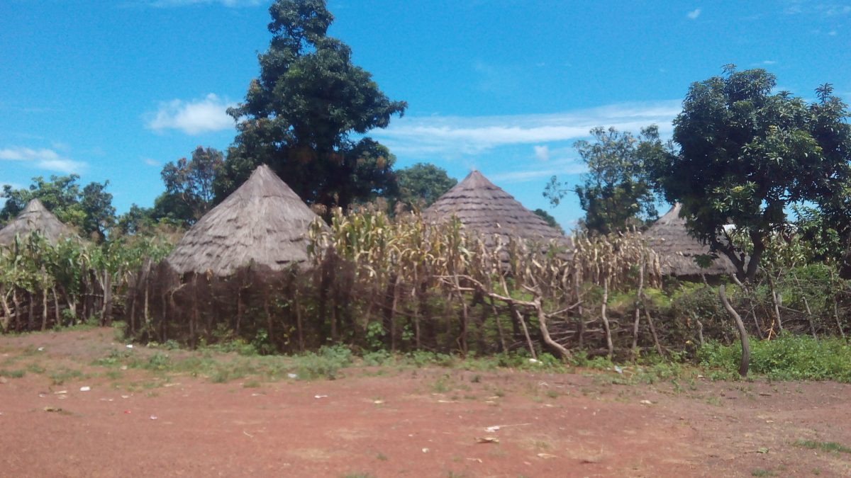 Article : Les vieux sont les rois de l&rsquo;ombre