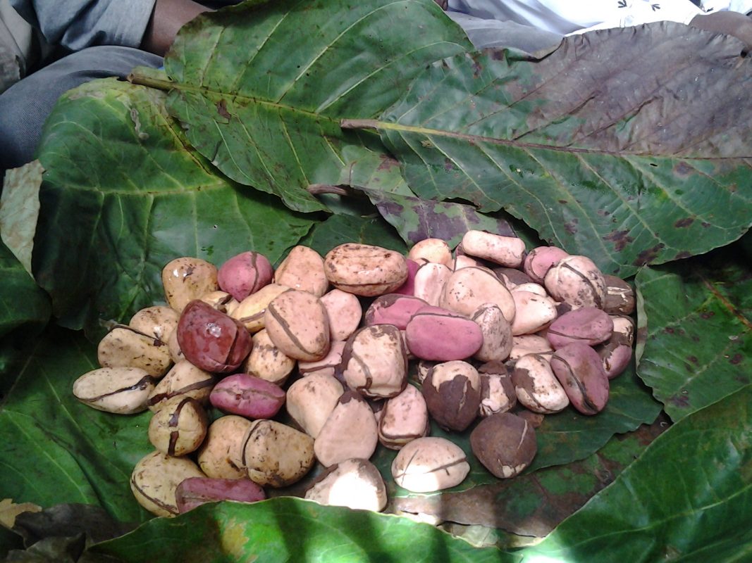 Article : La  rançon  de  la  honte