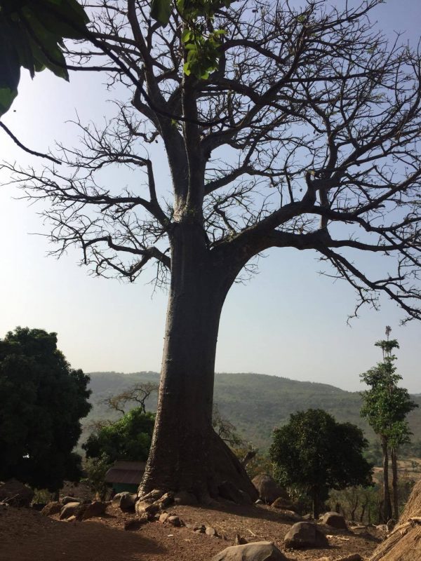 Article : Le  mont  Kolima : Une  porte  ouverte  sur le Fouta Djallon