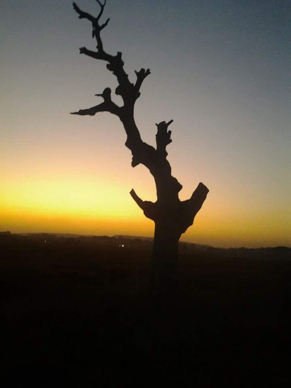 Article : Hier encore  j’étais  une fille