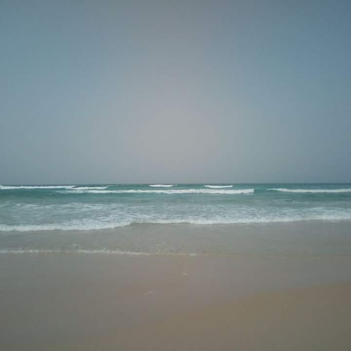 Article : Vivre  ou  mourir avec  l’Europe  dans  un  coin  de  la  tête