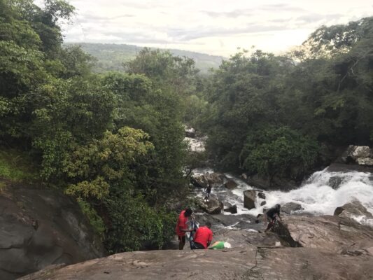 Article : Silence! On assassine la nature